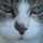 Meow Meow