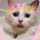Ｌｉｌｙさん