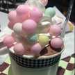 クックBEETJF☆
