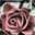r0088ose