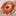 Lemon_2020 Lemon_2020