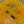 クックりゅ