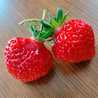 いちごみるく🍓
