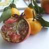 surese