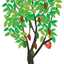 cacaotreee