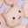 ゆずずくっきんぐ