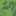 がるだ がるだ