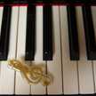 ＊Music＊