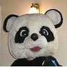 pandapanco