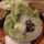 Secky_22 Secky_22
