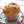 ohisamacco