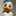 noffy_1230 noffy_1230