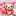 ぴんくここあ ぴんくここあ