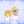 Ailot
