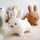 miffy✩