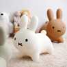 miffy✩