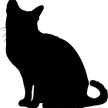 turkeycat