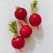 yucacooks
