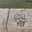 ばなな14