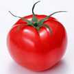 とまとでとまと