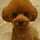 kenken_y