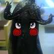 きのぴち