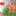 れいしゃ れいしゃ