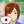 子ぎつねヘレン