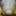 tane1029 tane1029