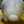 tane1029
