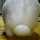 tane1029 tane1029
