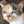 abc22