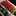 momo☆1128 momo☆1128