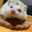 くりのすけくん