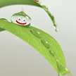 菜月ママ
