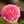 ぷうぷうぱたぱた