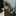 くろねこ141