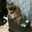 くろねこ141