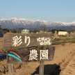 彩り農園