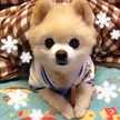 愛ひろ
