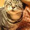 ちい猫のんびり