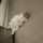 lillil