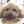 うにりーちゃん