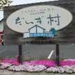 だいず村