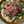 ☆ORYOKO☆