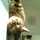 nene@petitchat