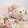 ひつじのメイ♡