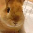 ✿ユカリーナ✿