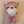 honono☆