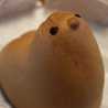 momoki